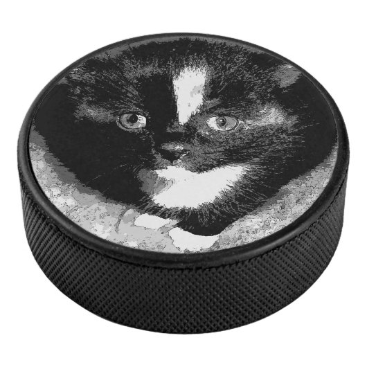 De stille waarnemer hockey puck (3/4)