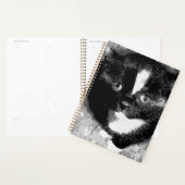 De stille waarnemer planner (Display)