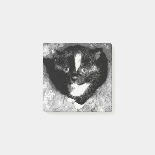 De stille waarnemer post-it® notes (Voorkant)