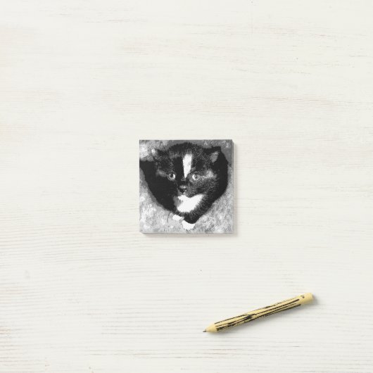 De stille waarnemer post-it® notes (Op bureau)