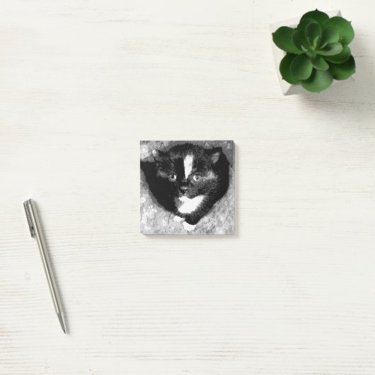 De stille waarnemer post-it® notes (Kantoor)