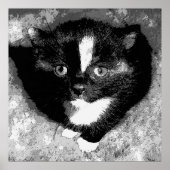 De stille waarnemer poster (Voorkant)