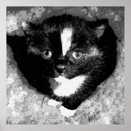 De stille waarnemer poster