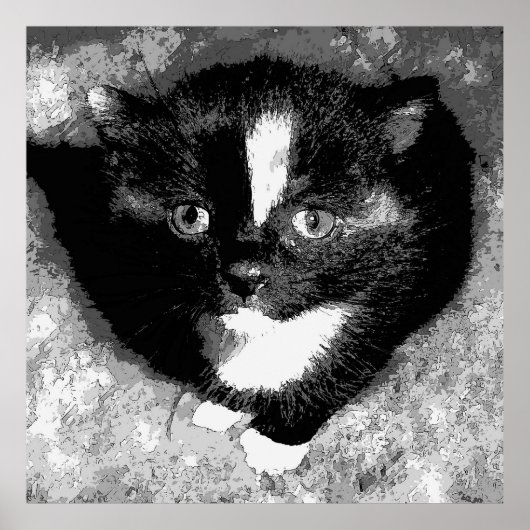 De stille waarnemer poster (Voorkant)