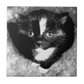 De stille waarnemer tegeltje (Voorkant)