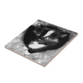 De stille waarnemer tegeltje (Zijkant)