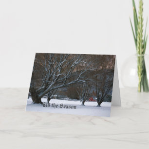 De stilte van Winter Feestdagen Kaart