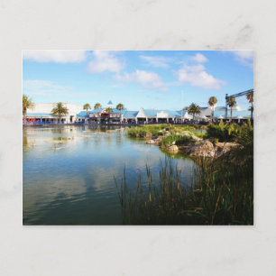 De stoep in Port Elizabeth Briefkaart