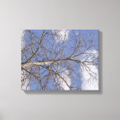 De Stomme Indiana Sycamore Canvas Afdruk (Voorkant)