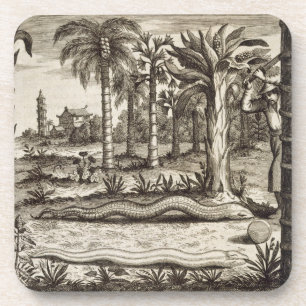 De Stone Snake uit 'China geïllustreerd' door Ath Onderzetter