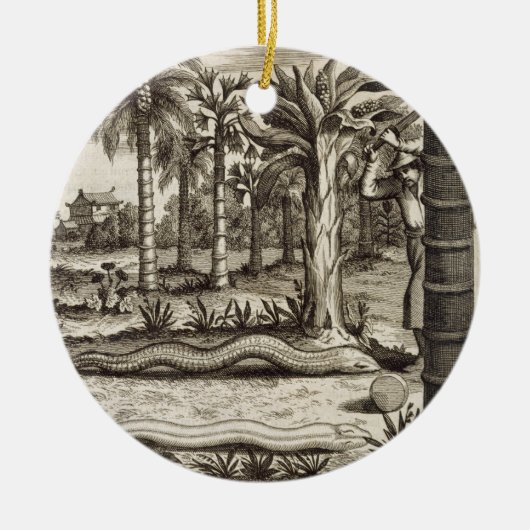 De Stone Snake uit 'China geïllustreerd' door Atha Keramisch Ornament (Voorkant)