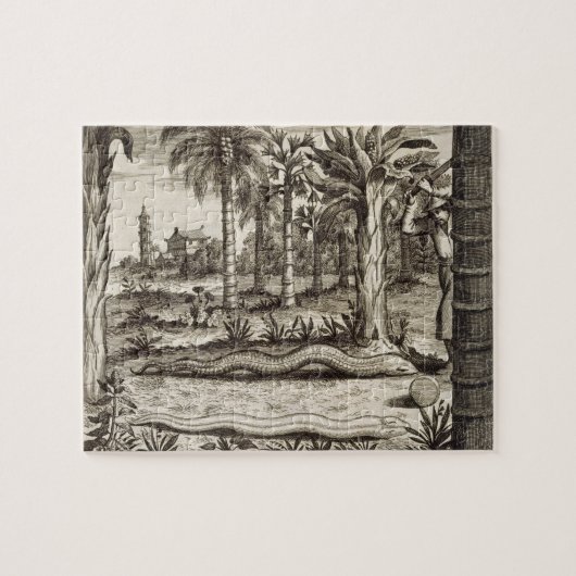 De Stone Snake uit 'China geïllustreerd' door Atha Legpuzzel (Horizontaal)