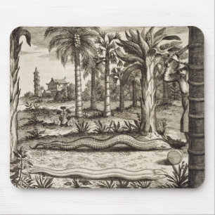 De Stone Snake uit 'China geïllustreerd' door Atha Muismat