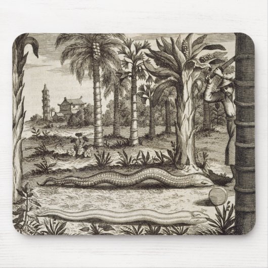 De Stone Snake uit 'China geïllustreerd' door Atha Muismat (Voorkant)