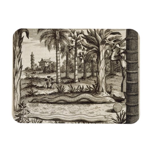 De Stone Snake uit China geïllustreerd door Athan Magneet (Horizontaal)