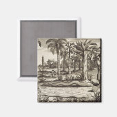 De Stone Snake uit China geïllustreerd door Athan Magneet (Voorkant / Achterkant)