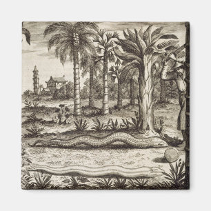 De Stone Snake uit China geïllustreerd door Athan Magneet