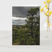 De stormachtige Kaart van de Nota van de Boom van (Gele Bloem)