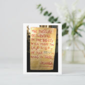 de straatkunst van La Vega Briefkaart (Staand voorkant)