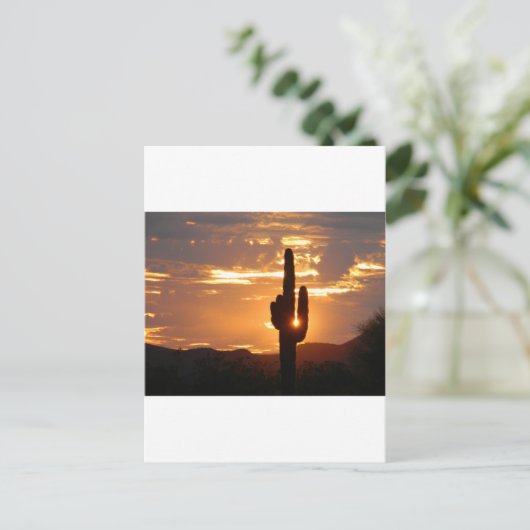De Stralen van Saguaro Briefkaart (Staand voorkant)