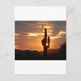 De Stralen van Saguaro Briefkaart