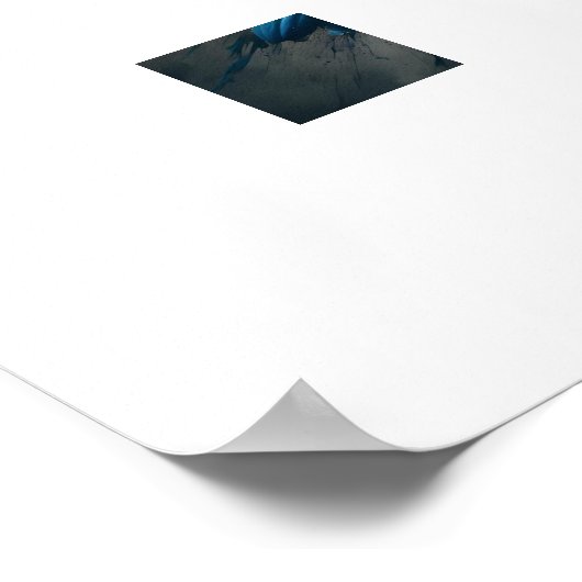 De stralende schoonheid van de Afrikaanse Daisy Poster (Hoek)