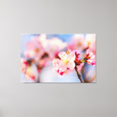 De stralende schoonheid van roze Sakura bloemen Canvas Afdruk (Voorkant)