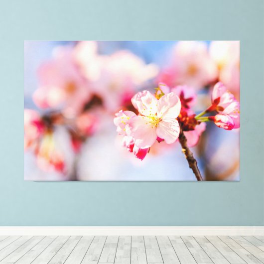 De stralende schoonheid van roze Sakura bloemen Canvas Afdruk (Insitu (Houten vloer))