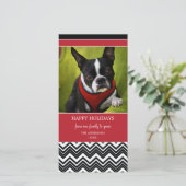 DE STREPEN VAN DE CHEVRON %PIPE% KAART VAN DE FOTO (Staand voorkant)