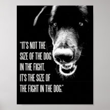 De strijd in het Poster van de hond