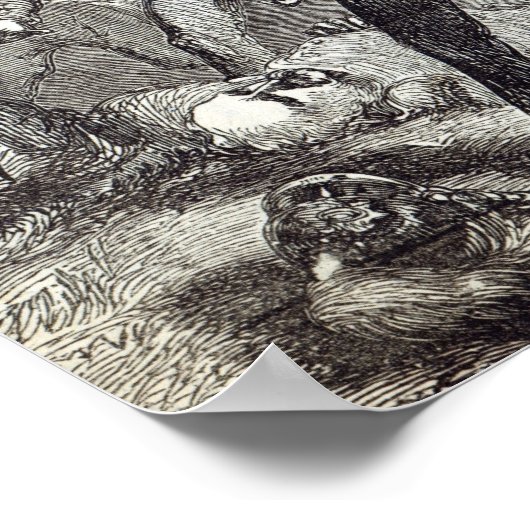 De strijd om Alma Poster (Hoek)