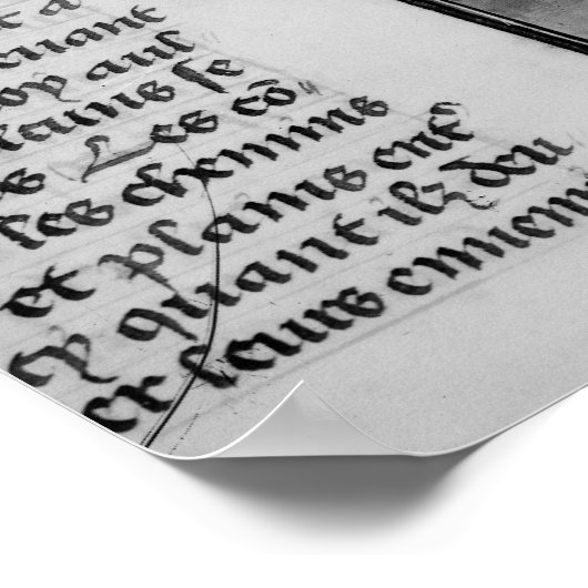 De strijd om geheimhouding in 1346 poster (Hoek)