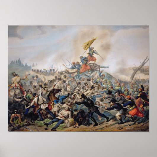 De strijd om Magenta Poster (Voorkant)