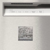 De strijd tegen Cerisoles Magneet (Insitu (Vaatwasser))