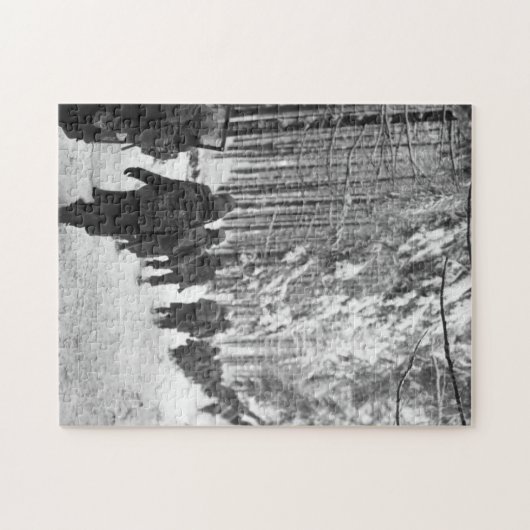 De strijd tegen de plaag legpuzzel (Horizontaal)