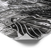 De strijd tegen Zonchio in 1499 Poster (Hoek)