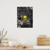 De strijder, de andelions op de rots poster (Keuken)