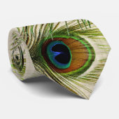 De Stropdas van de Veer van de pauw (Opgerold)