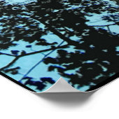 De structuur omhoog poster (Hoek)