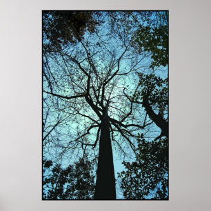 De structuur omhoog poster