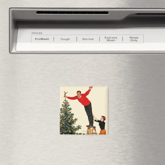 De structuur onderbreken magneet (Insitu (Vaatwasser))