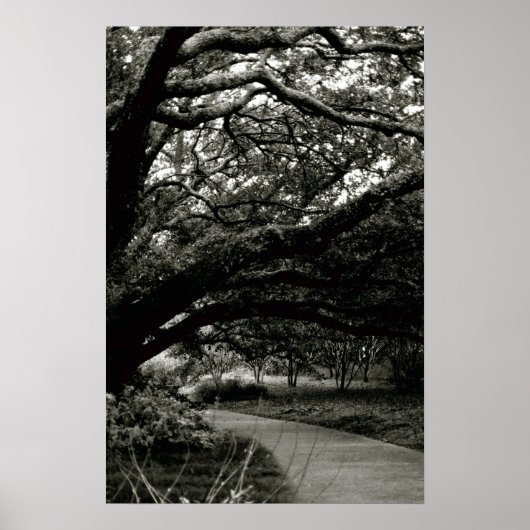 De structuur poster (Voorkant)