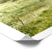 De Struik en de omheining Poster (Hoek)