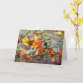 De Struik van het Flanel van Californië Kaart (Gele Bloem)