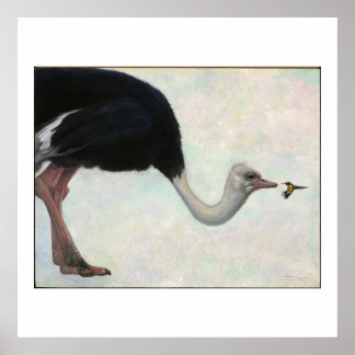 De struisvogel en de vogel door Bryn Barnard Poster