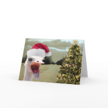 De struisvogel wordt Opgewekt over Kerstmis