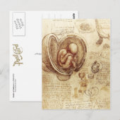 De Studies van da Vinci van Embryo's Briefkaart (Voorkant / Achterkant)