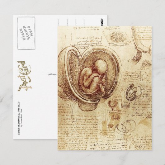 De Studies van da Vinci van Embryo's Briefkaart (Voorkant / Achterkant)