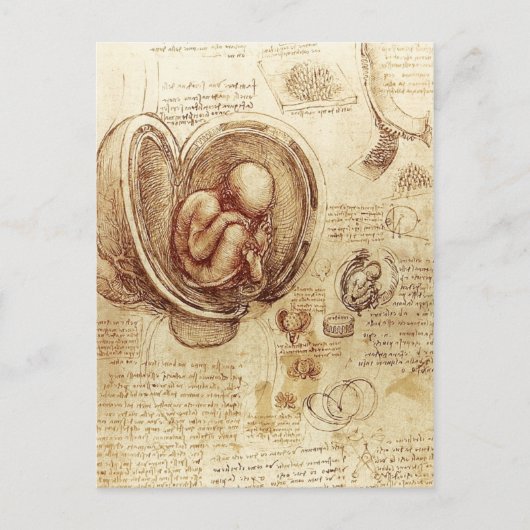 De Studies van da Vinci van Embryo's Briefkaart (Voorkant)