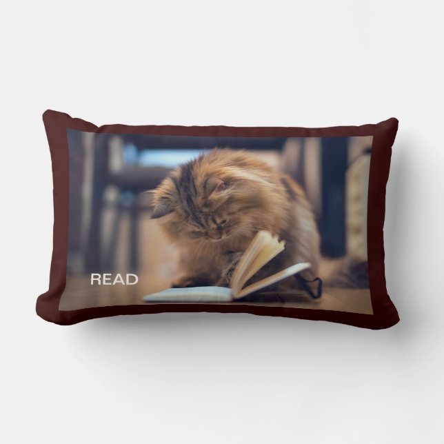 De Studieuze Katten Worp Kussen (Voorkant)
